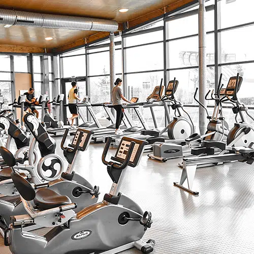 fitness